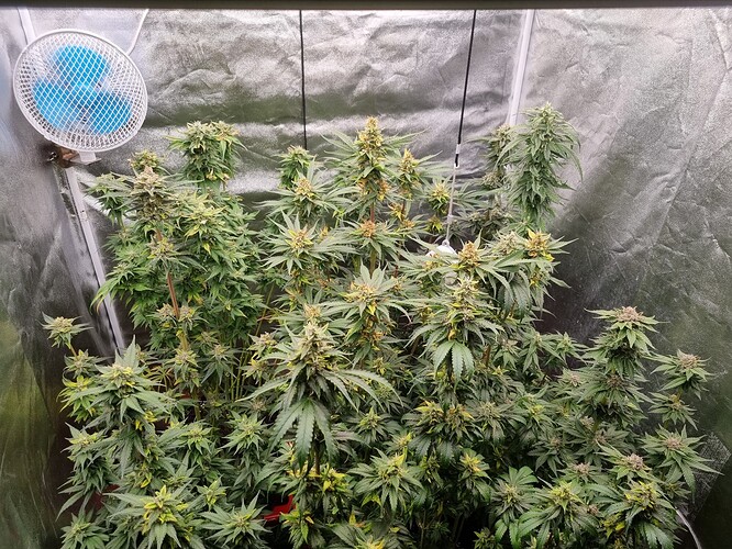 Growreport Bild 15