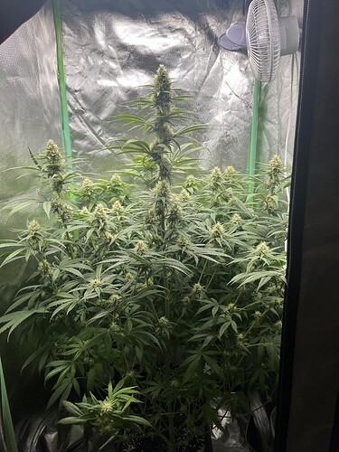 Growreport Bild 5