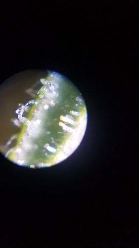 Growreport Bild 11