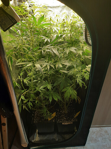 Growreport Bild 2