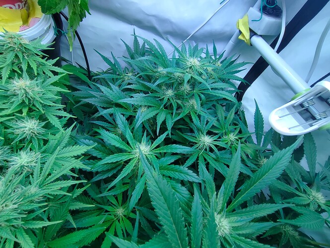 Growreport Bild 14