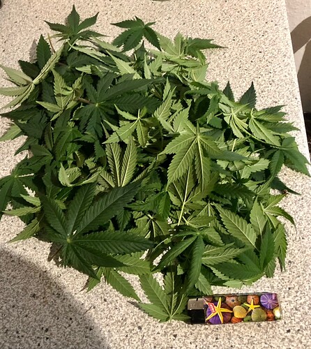Growreport Bild 9