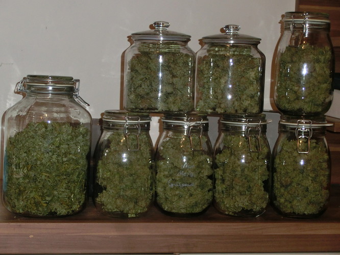 Growreport Bild 1
