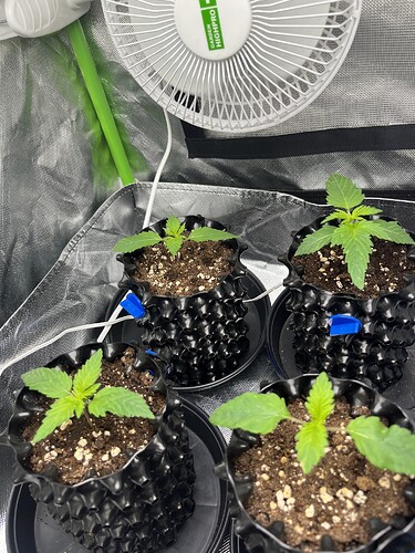 Growreport Bild 16