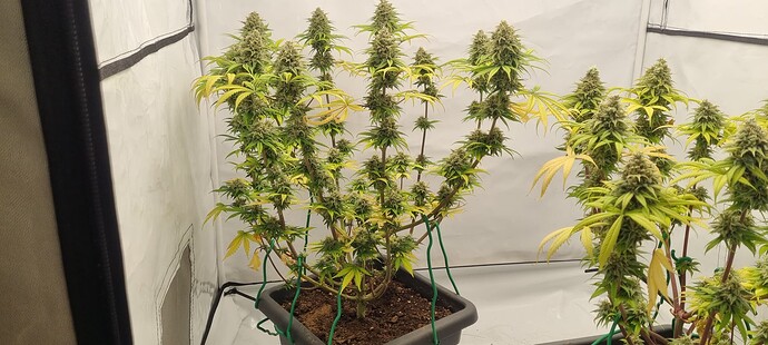 Growreport Bild 16