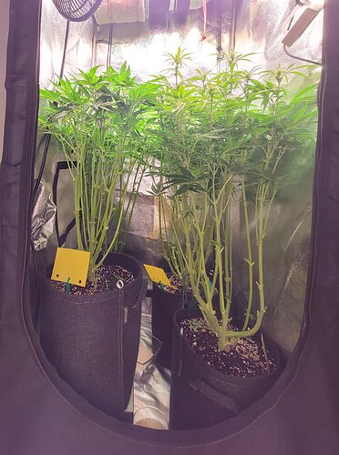 Growreport Bild 7