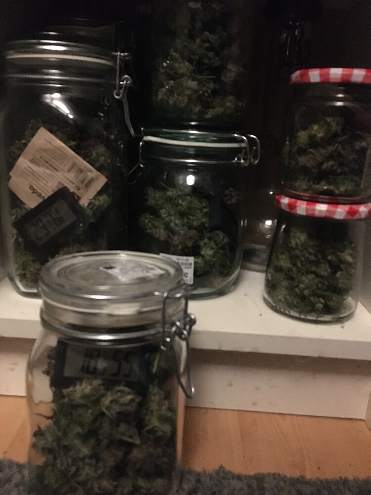 First Grow Lumatek 200W Indoor