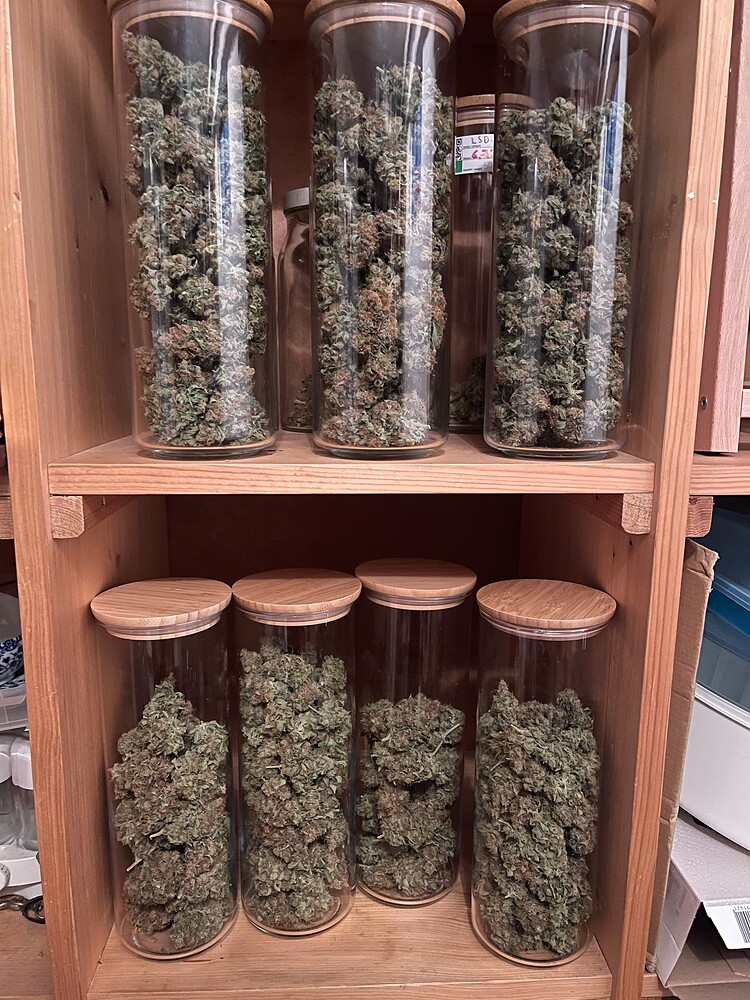 No Till zum 2ten mit 4 Melonen in 15 Liter Flo Substrat