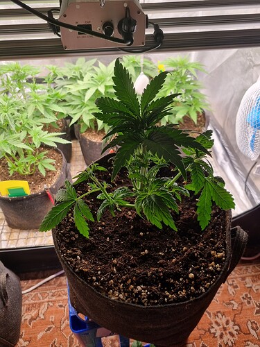 Growreport Bild 21