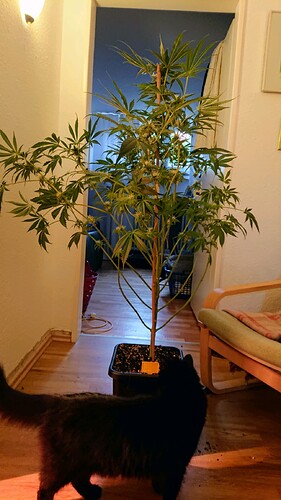 Growreport Bild 8