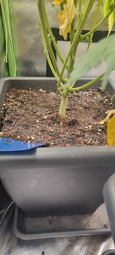 Growreport Bild 1