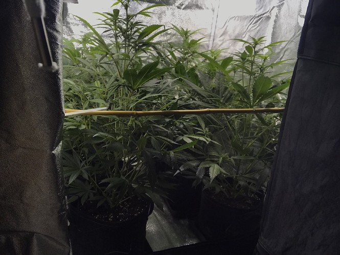 Growreport Bild 10