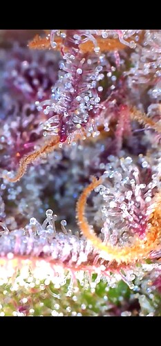 Growreport Bild 15
