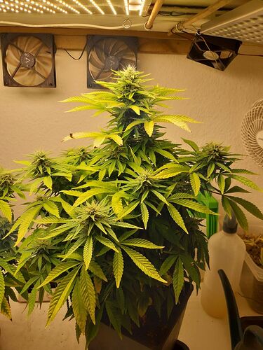 Growreport Bild 10