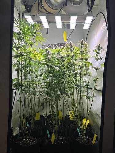 Growreport Bild 1