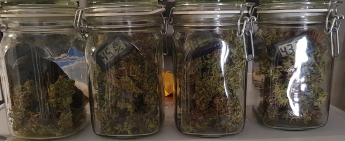 Growreport Bild 25
