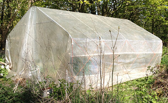 Growreport Bild 1