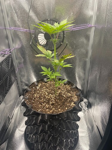 Growreport Bild 10