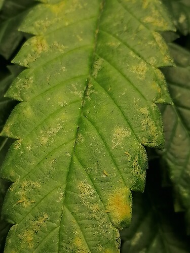 Growreport Bild 4