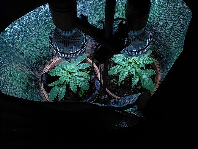 Growreport Bild 10