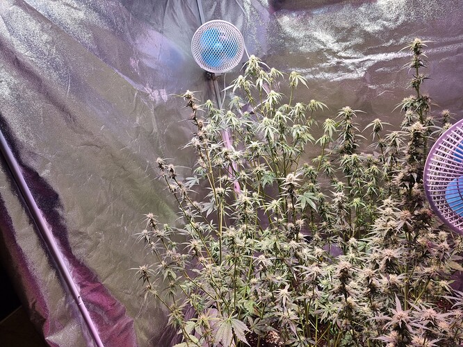Growreport Bild 17