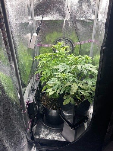 Growreport Bild 1