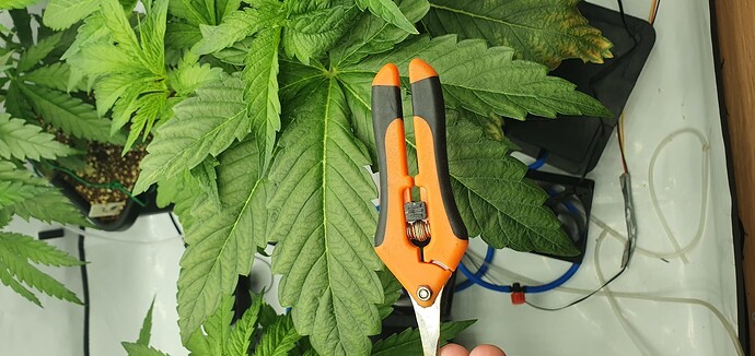 Growreport Bild 7