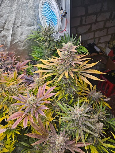 Growreport Bild 6