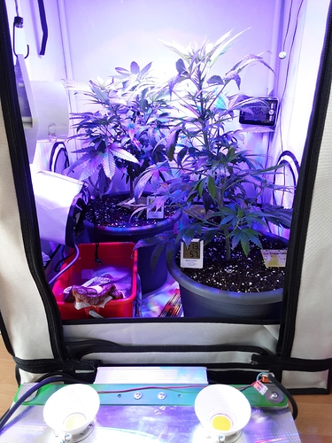 Growreport Bild 23