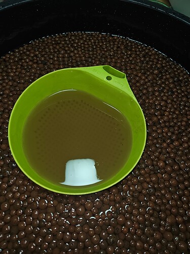 Growreport Bild 2