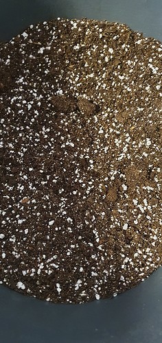 Growreport Bild 6