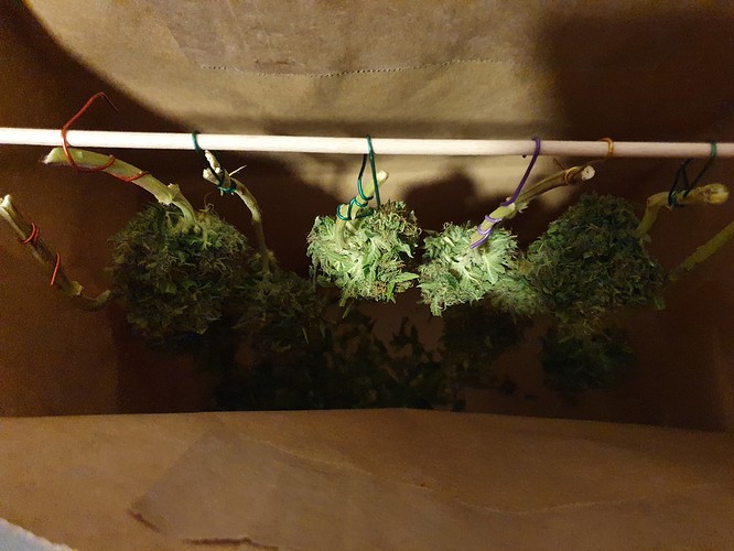 Growreport Bild 7