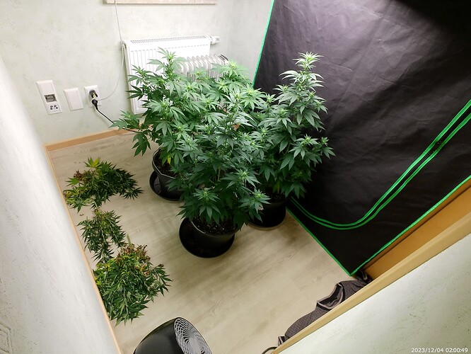 Growreport Bild 16