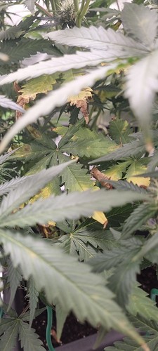 Growreport Bild 12
