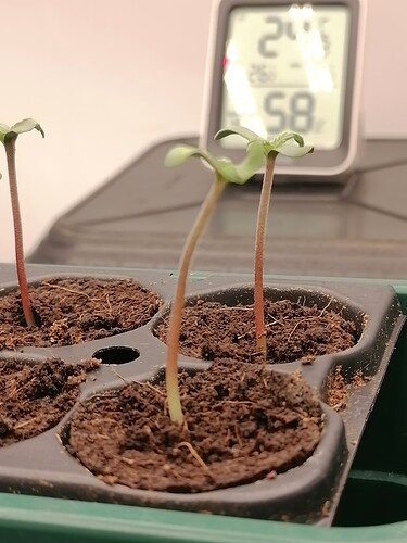 Growreport Bild 27