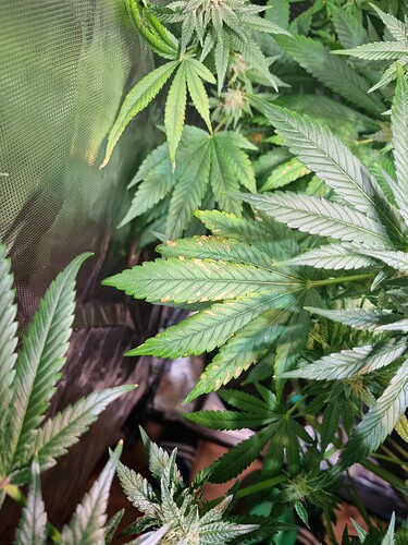 Growreport Bild 2
