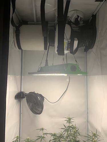 Growreport Bild 4