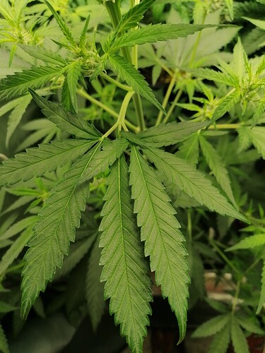 Growreport Bild 14