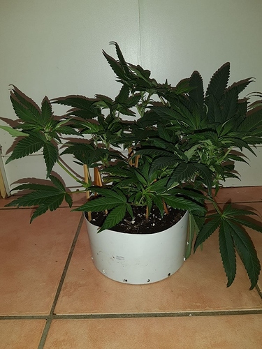 Growreport Bild 14