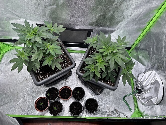 Growreport Bild 10