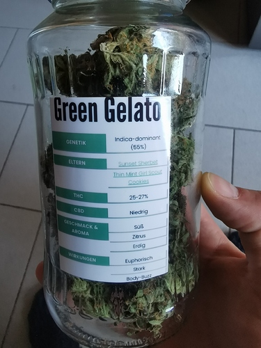 Growreport Bild 2