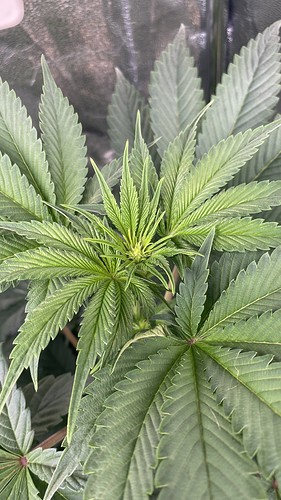 Growreport Bild 15