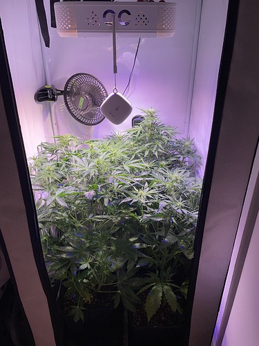 Growreport Bild 1