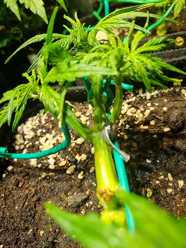 Growreport Bild 14