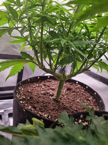 Growreport Bild 30