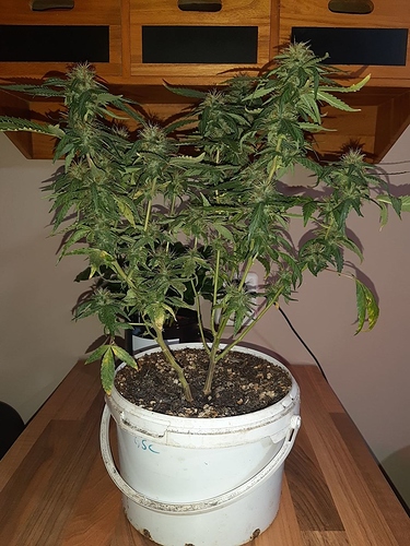 Growreport Bild 10