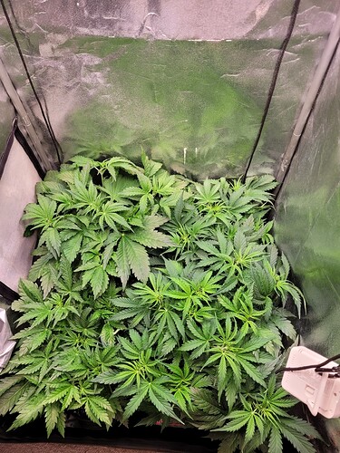 Growreport Bild 15