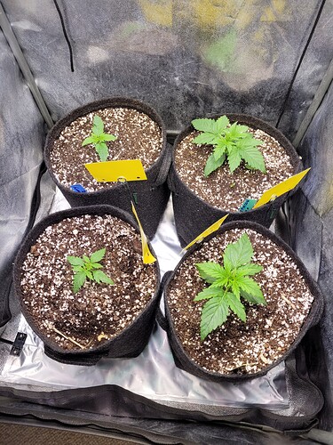 Growreport Bild 9