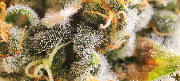 Growreport Bild 22