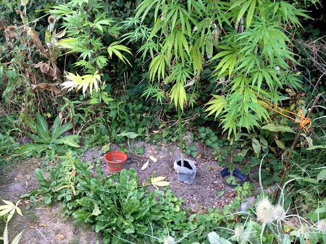 Growreport Bild 10